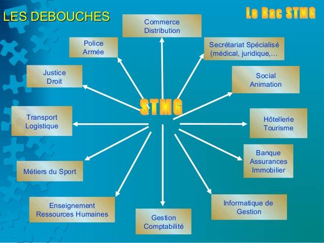 bac stmg debouché – bac stmg débouchés de métier – Empiretory